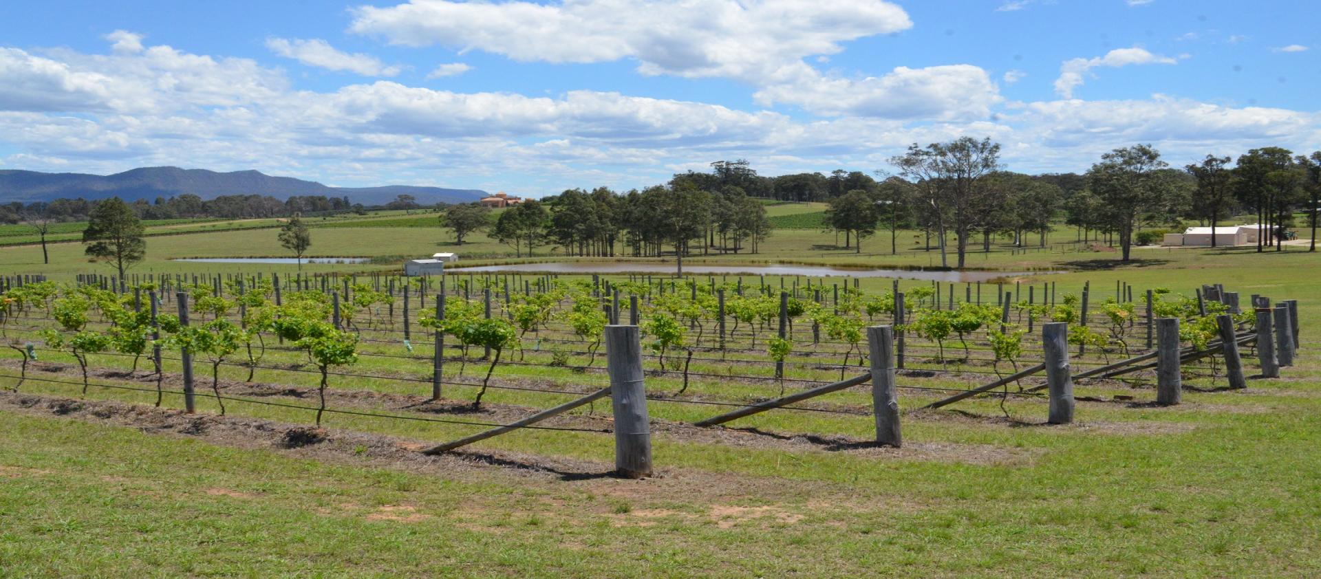 Photo for: New South Wales