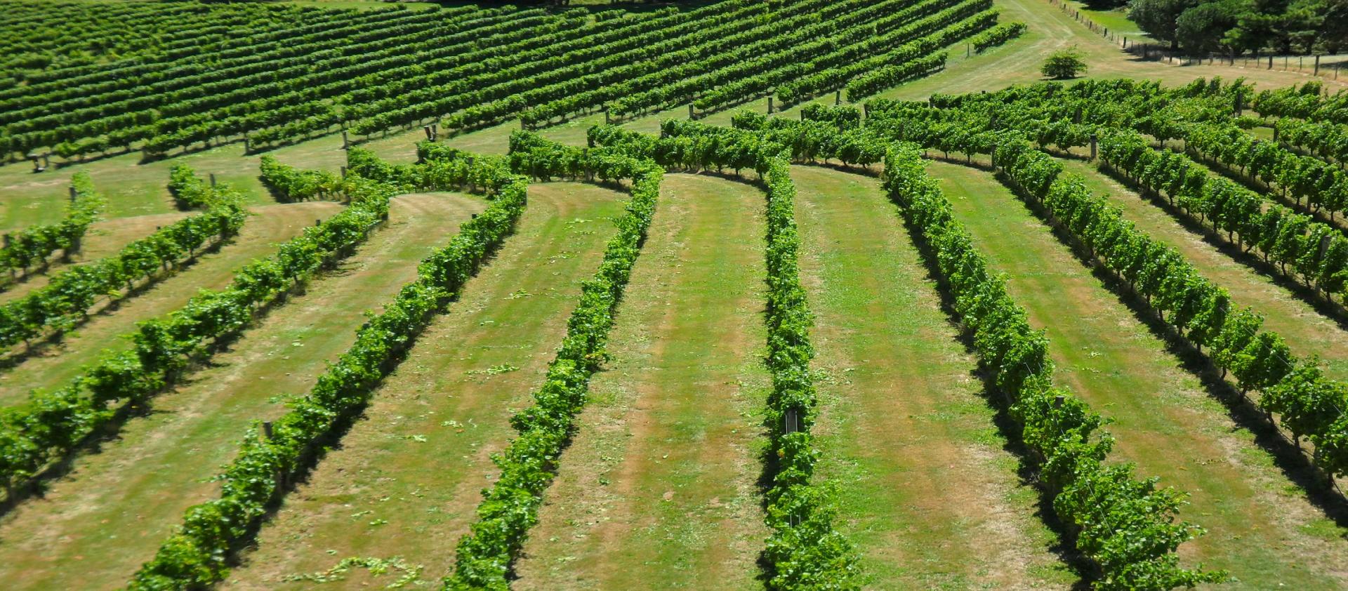 Photo for: Marlborough